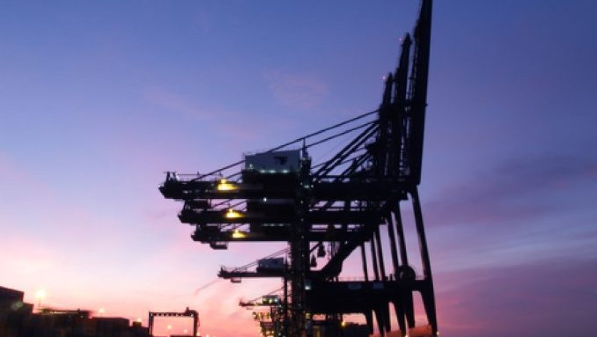 Carriers opt for more blanked sailings to bolster freight rates