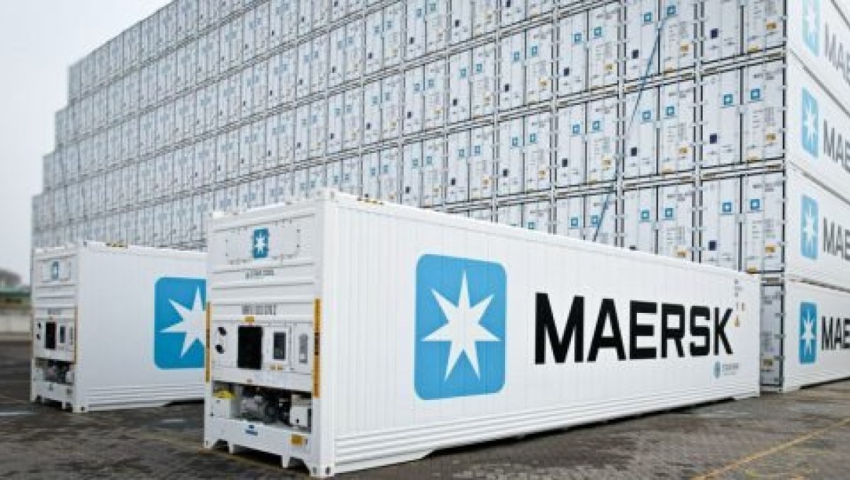 Eimskip, RAL expand fleets with Star Cool units