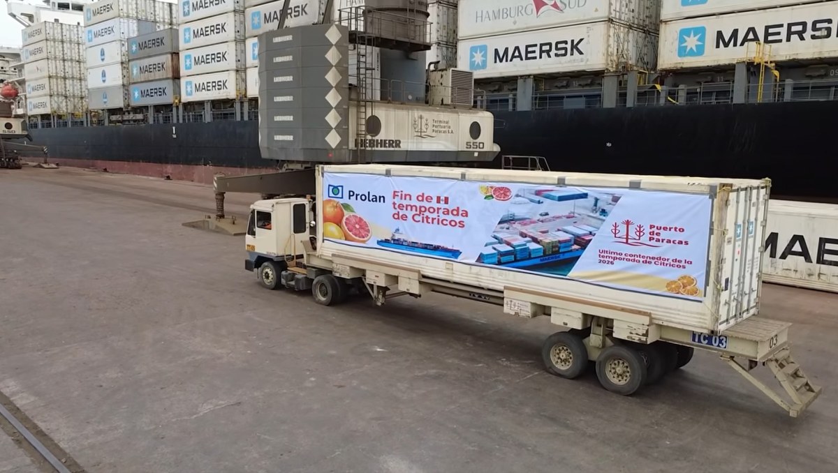 Puerto de Paracas moviliza 25% del volumen de cítricos peruanos de temporada de exportación 2026